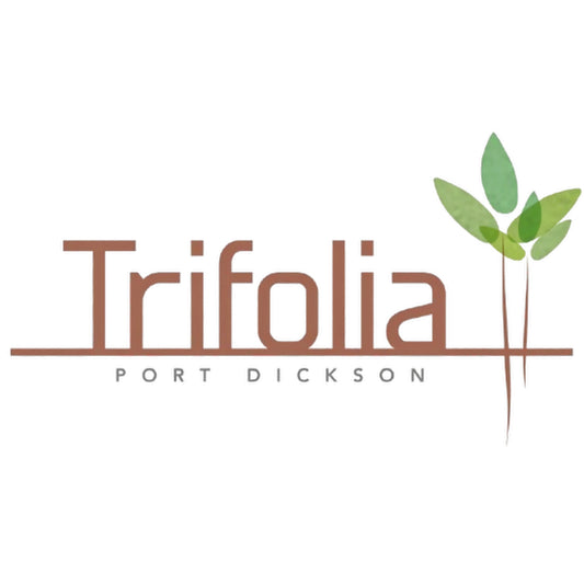 Trifolia @Port Dickson